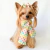 Cachecol e Laço Macaron Colorido para Pets - comprar online