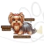 Vestido Delicate Listra Linho para Pets - loja online