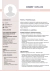 CV Formal Ambiente Serio - comprar online