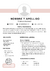 CV Creativo Diseño Original en internet