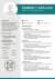 Imagen de Curriculum - Profesional y Moderno
