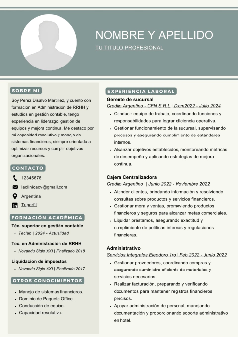 CV Premium Diseño y Redacción - comprar online