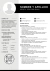 Curriculum - Profesional y Moderno - tienda online