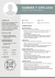 Curriculum - Profesional y Moderno - comprar online