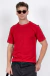 Camiseta icon em algodão egípcio vermelho na internet