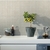 Alberdi Fiorato 37.5x75 - 1era