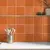Azulejo Flat Orange Glossy 15x15
