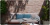 Cortines Frizo Carmin 30x45 - 1era - comprar online
