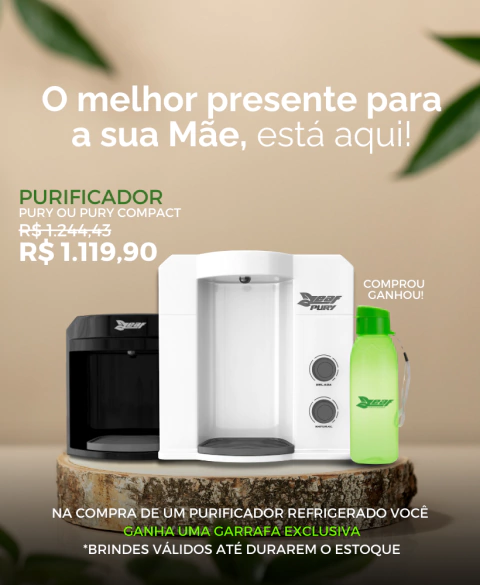 Carrossel 1