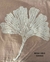 Funda estampada - comprar online
