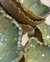 Bowl Fragmento - Verde na internet