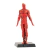 Marvel Figurines Regular: Tocha Humana - Edição 18 - comprar online