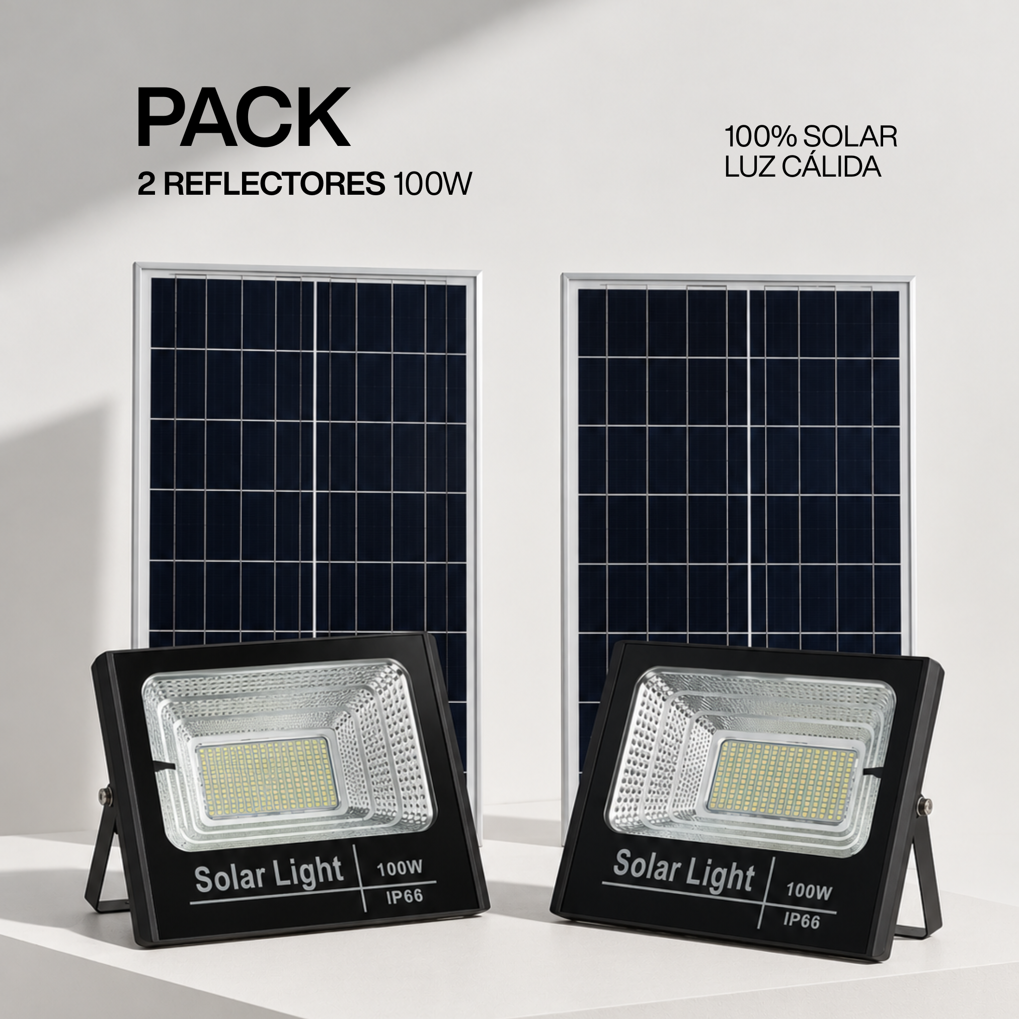 Pack 2 Reflectores 100W
