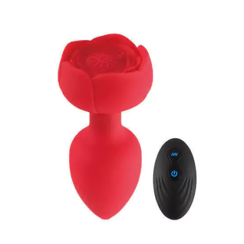 Plug anal com vibrador e controle
