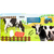 TOQUE, SINTA E ESCUTE! FAZENDA - HAPPY BOOKS na internet