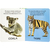 TOQUE E SINTA II: ANIMAIS SELVAGENS - HAPPY BOOKS na internet