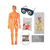 KIT ANATOMIA - GROW - Espaço do Brinquedo