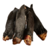 Orelha de Carneiro Petiscos Desidratados para Cães - Miazita - comprar online