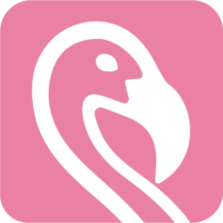 flamingo phone cases