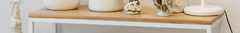 Banner de la categoría Consolas