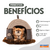 Cama Tenda Luxo Marrom - comprar online