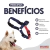 Peitoral Educativo Azul - comprar online