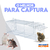 Ratoeira Automática Branca - Pet Fast Action