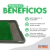 Tapete Sanitário Canino c/ Grama Sintética - comprar online
