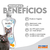Shampoo Gatos Fortificante 500ml - comprar online