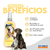 Colônia Filhotes Divertidos 100ml - comprar online