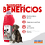 Eliminador de Odores Floral 2L - comprar online
