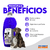 Eliminador de Odores Lavanda 2L - comprar online