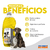 Eliminador de Odores Citronela 2L - comprar online