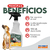 Educador Repelente Dog Stop 500ml - comprar online