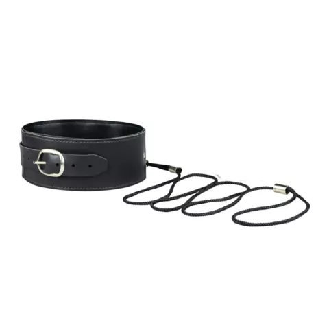 Coleira - Com Guia -Código 643