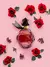 Divine Woman Luxe Mont'Anne EDP 100ml na internet