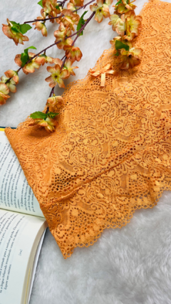 CALCINHA CALESSON PLUS SIZE - VÁRIAS CORES - comprar online