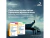 Felimazole 2,5mg - 100 Comprimidos - Dechra - comprar online
