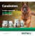 Condroton 500mg 60 Comprimidos - Vetnil - 4 Unidades - loja online