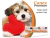 Canex Premium 900mg Vermifugo Cães Até 10kg 4 Comprimidos - 5 Unidades - comprar online