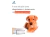 Senspert Erlichia Cães 1 Test. - Dechra - 5 Unidades - comprar online