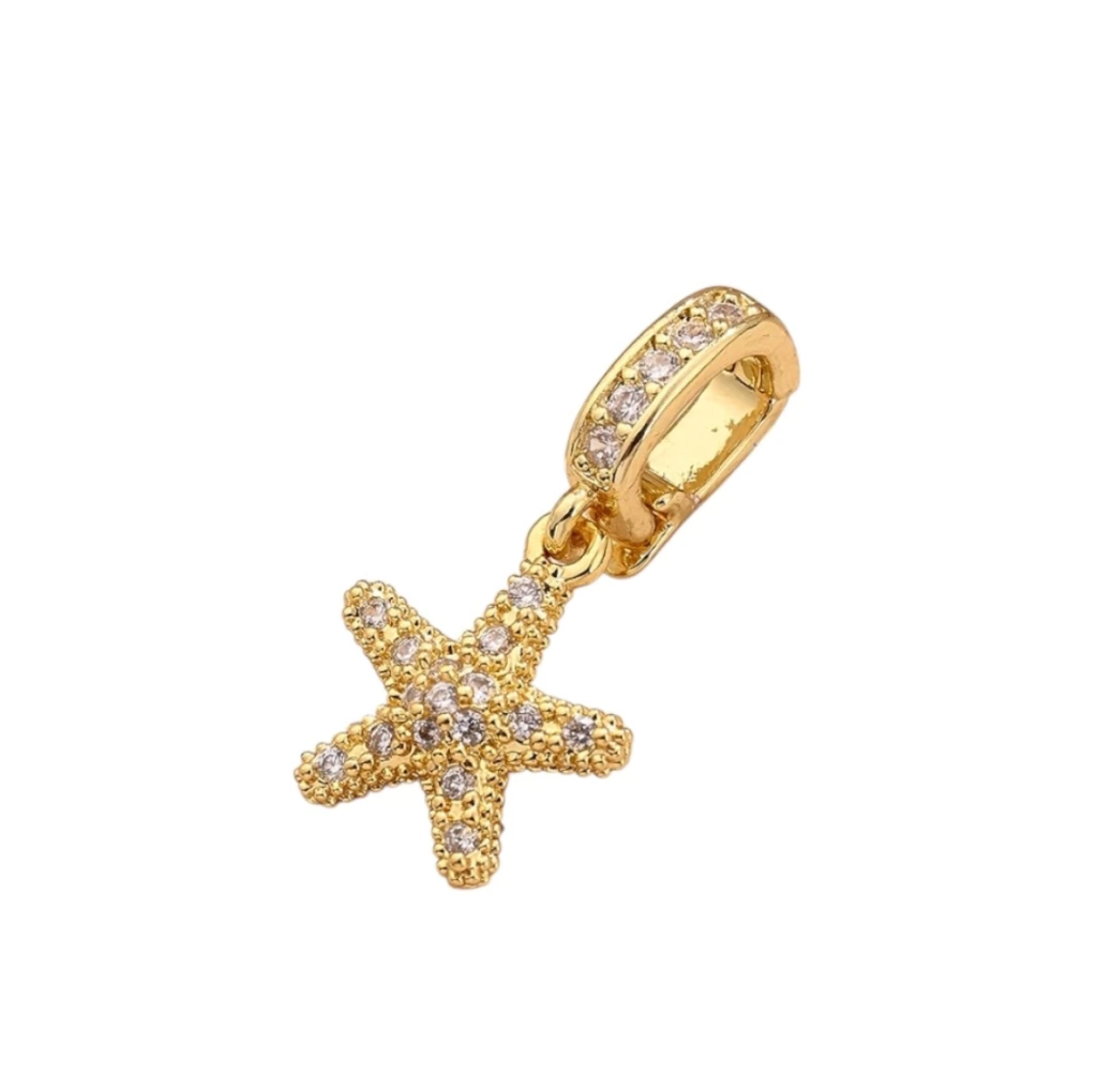 Clip sea star