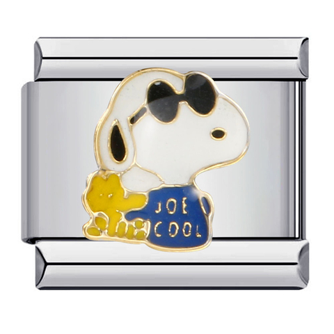 Charm snoopy cool