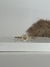 Bracelete Aro Tubo Entremeio Letra B Lisa Crav - comprar online