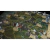 The Witcher: El Viejo Mundo en internet