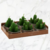 Set x 6 Velas