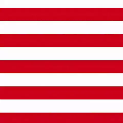 Tnt Estampado - Listras Largas Verticais Vermelhas SF