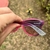 Imagem do Óculos de Sol San Martín 2.0 Rosa com Roxo Degradê para Corredores