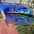 Óculos de Corrida Baixa Pace RIO Transparente com Azul - Baixa Pace - Óculos de Corrida