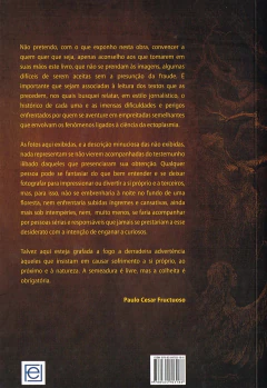 Espíritos decaídos materializados - comprar online